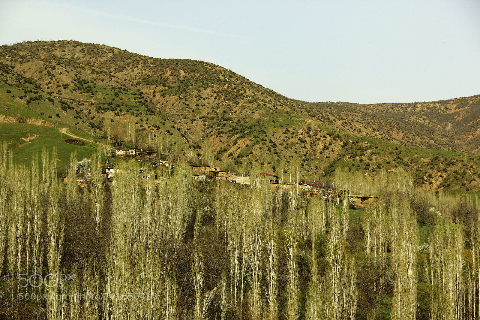 Canon EOS 60D sample photo. Gayda b photography