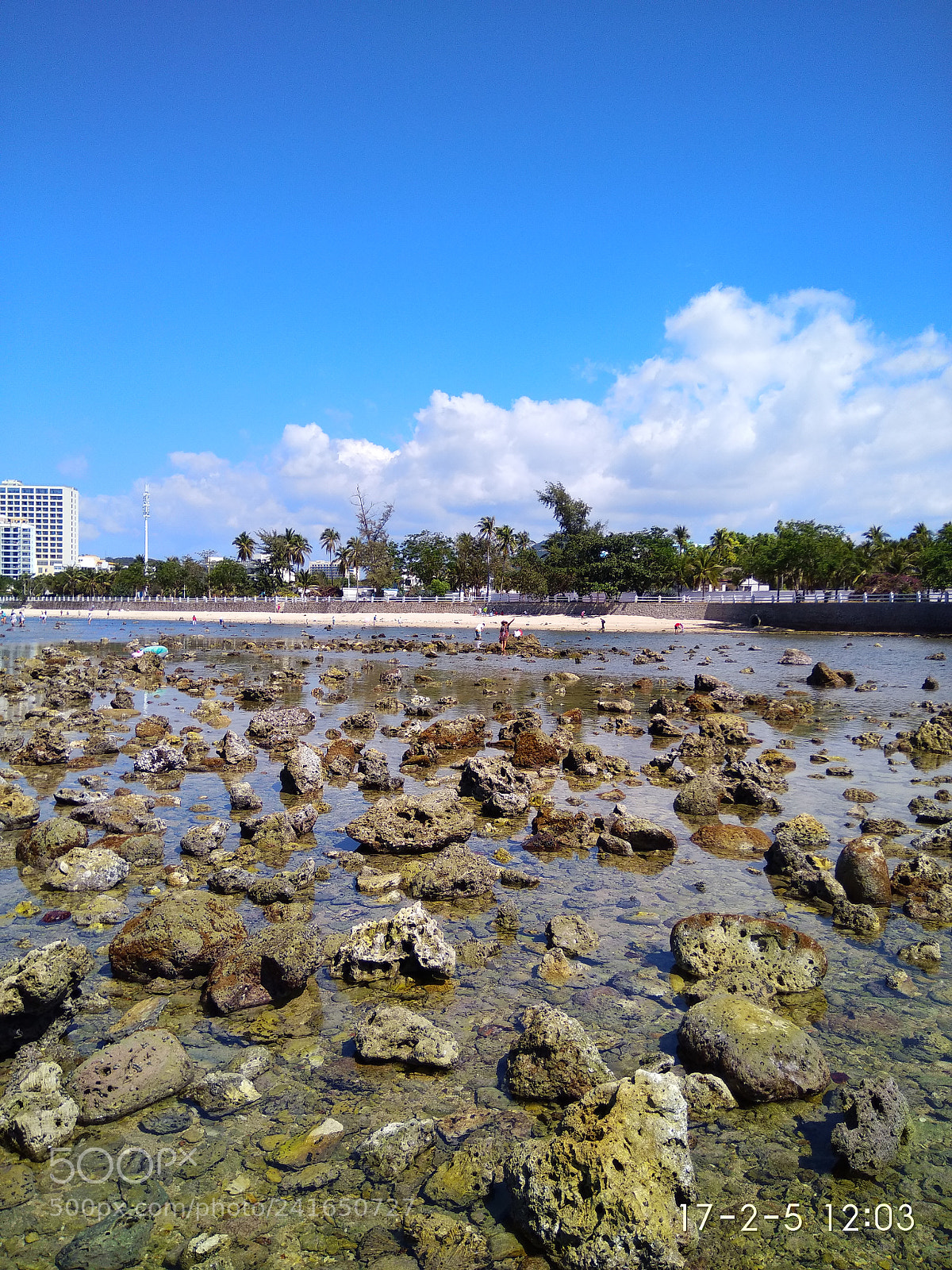 Xiaomi MI MAX sample photo. Untitled photography