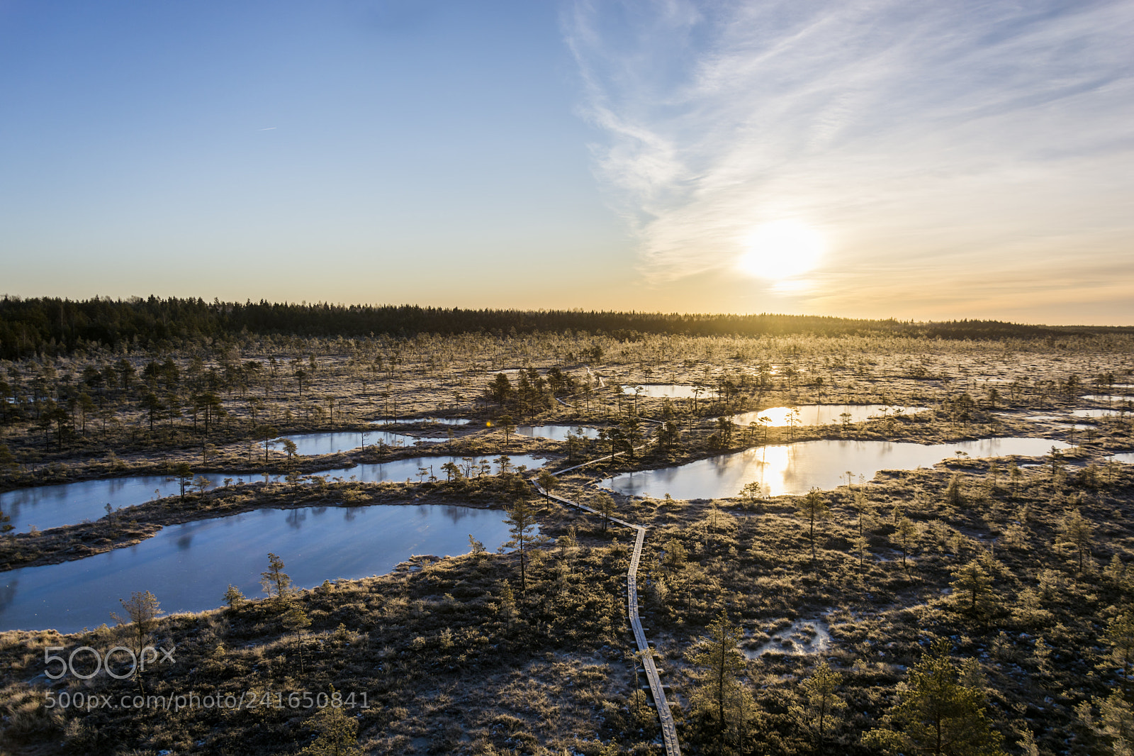 Nikon D7100 sample photo. Morning light photography