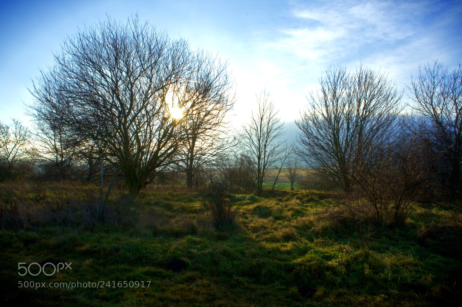 Sony a7 sample photo. Sunset in early winter photography