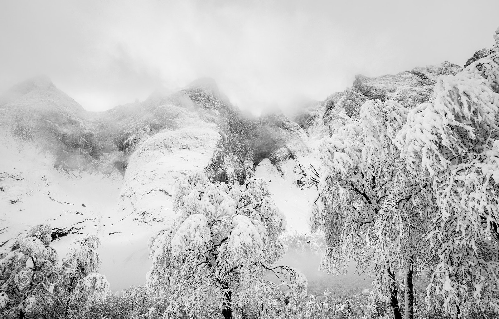 Nikon D810 sample photo. Snowstorm in troll wall photography
