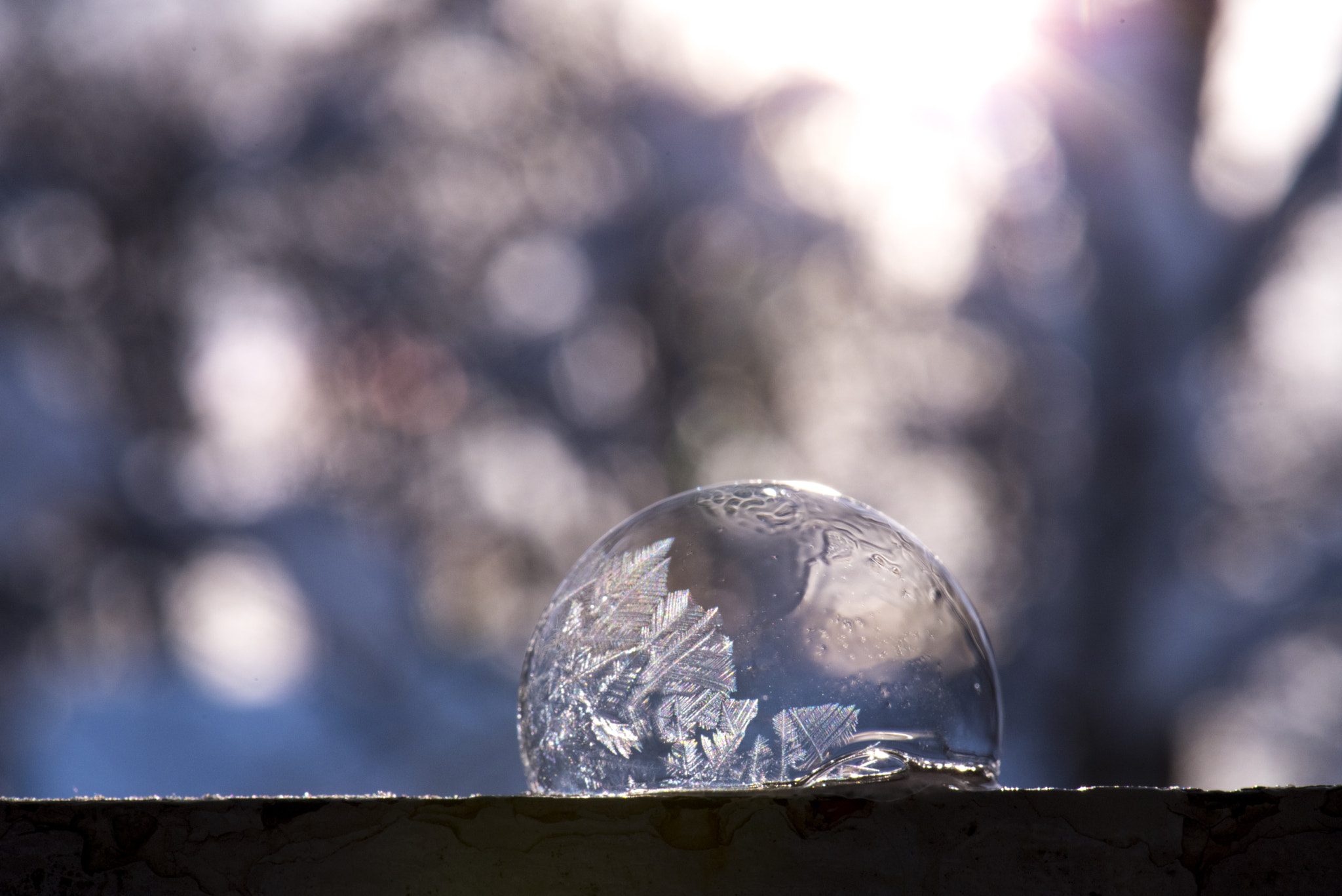 Nikon D810A sample photo. Ice crystal on soap bubble photography