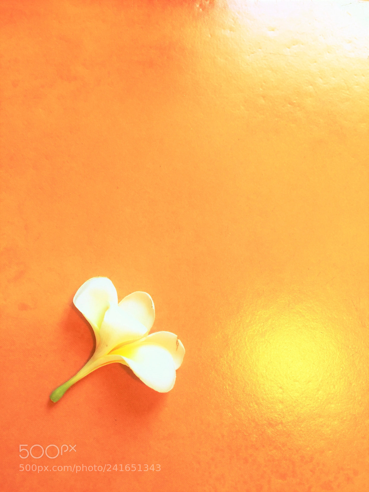 Apple iPhone 6 Plus sample photo. Dance with life the photography