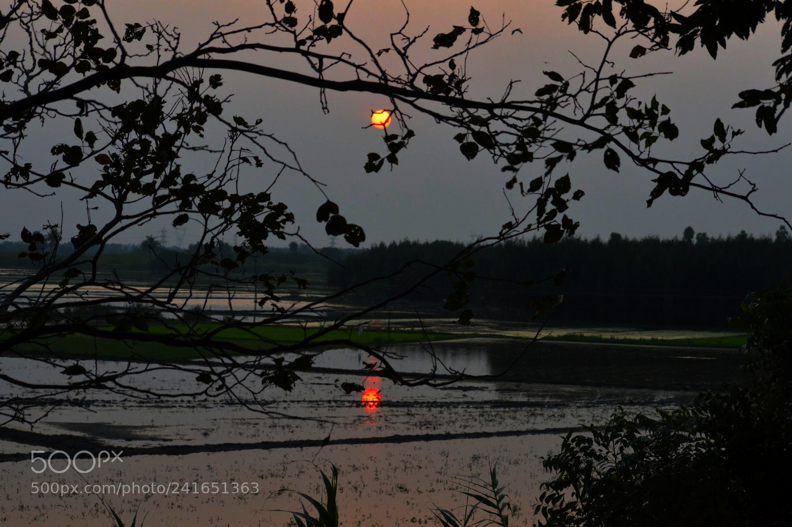 Nikon D3200 sample photo. Orange sky photography