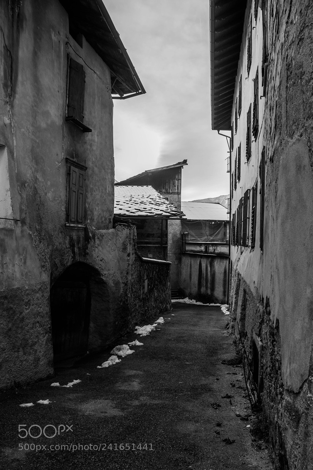 Nikon D7200 sample photo. Untitled photography