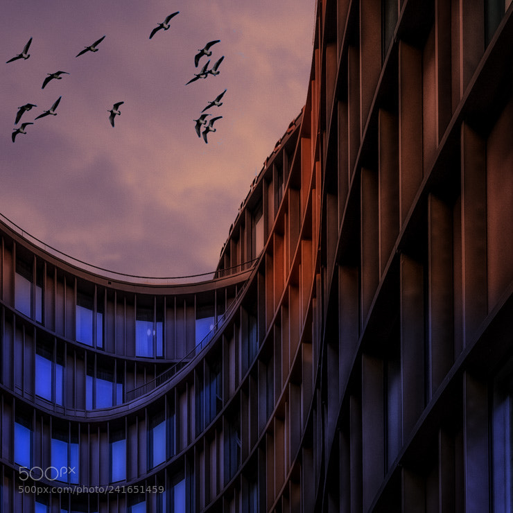 Olympus OM-D E-M1 sample photo. Axel towers photography