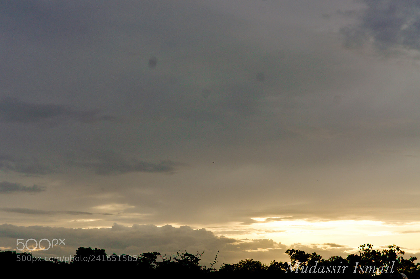 Sony Alpha NEX-3 sample photo. Evening sunset photography