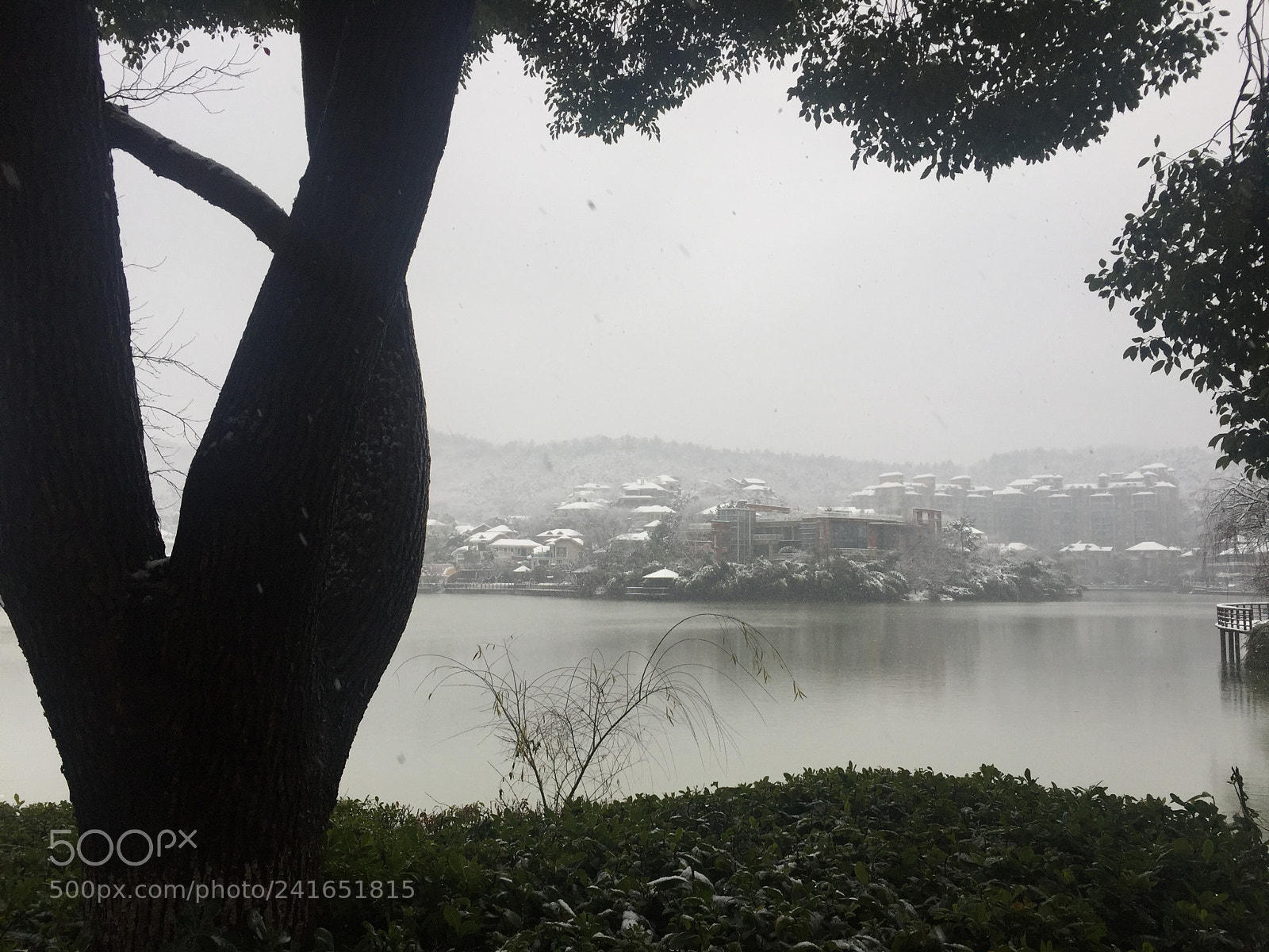 Apple iPhone 6 sample photo. Untitled photography