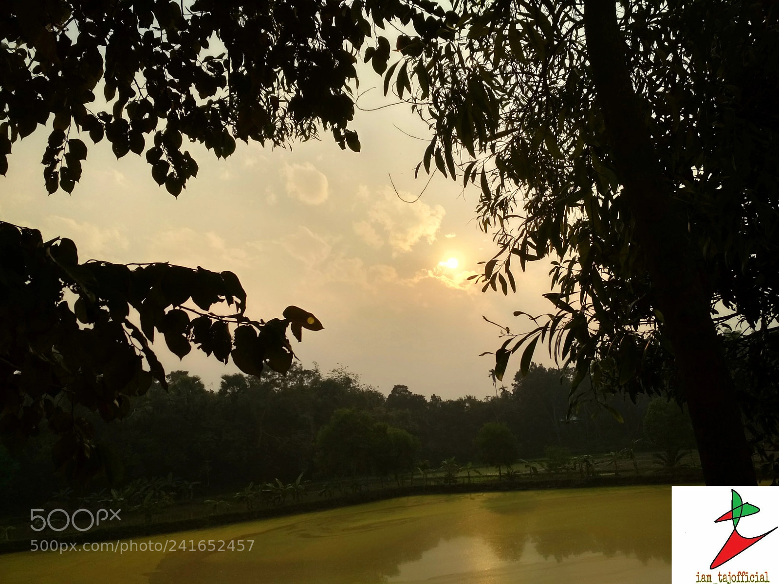 Xiaomi Redmi 4X sample photo. Untitled photography