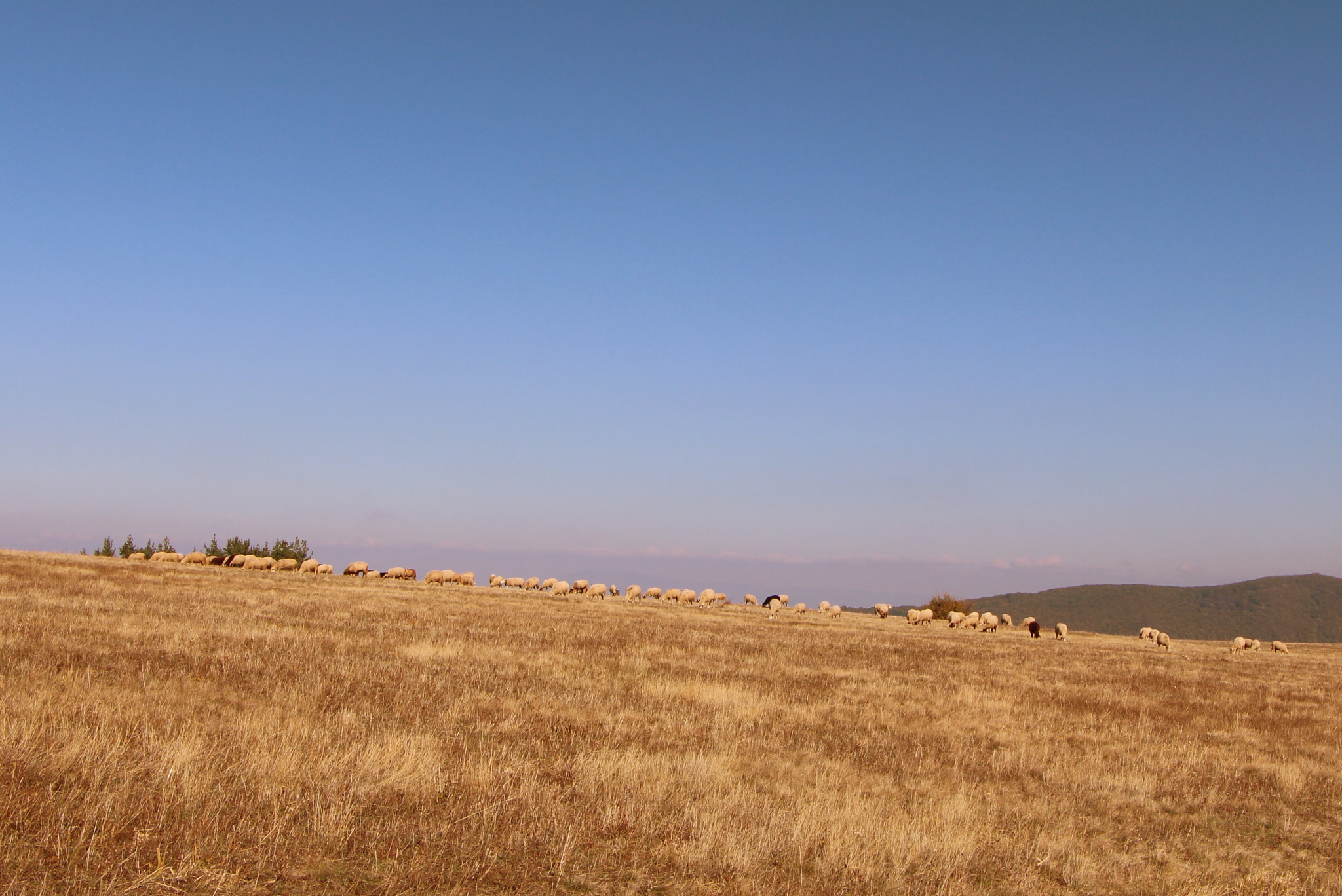Canon EOS 650D (EOS Rebel T4i / EOS Kiss X6i) sample photo. * photography