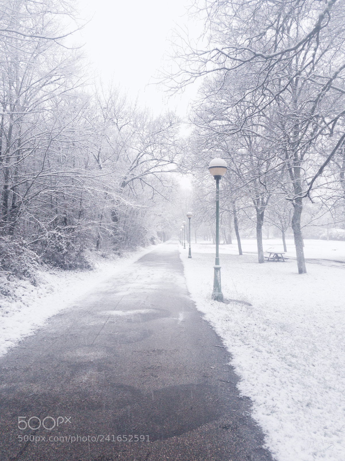 Samsung Galaxy S7 Edge sample photo. On a walk, snowing photography