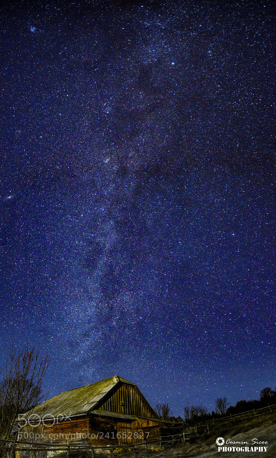 Nikon D5600 sample photo. Lovely night sky photography
