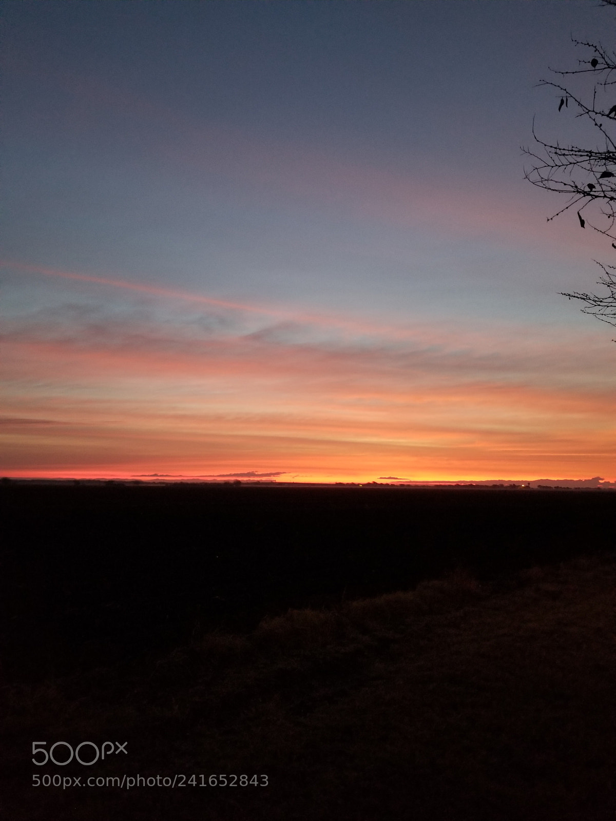 Samsung Galaxy S8+ sample photo. South texas painting in photography