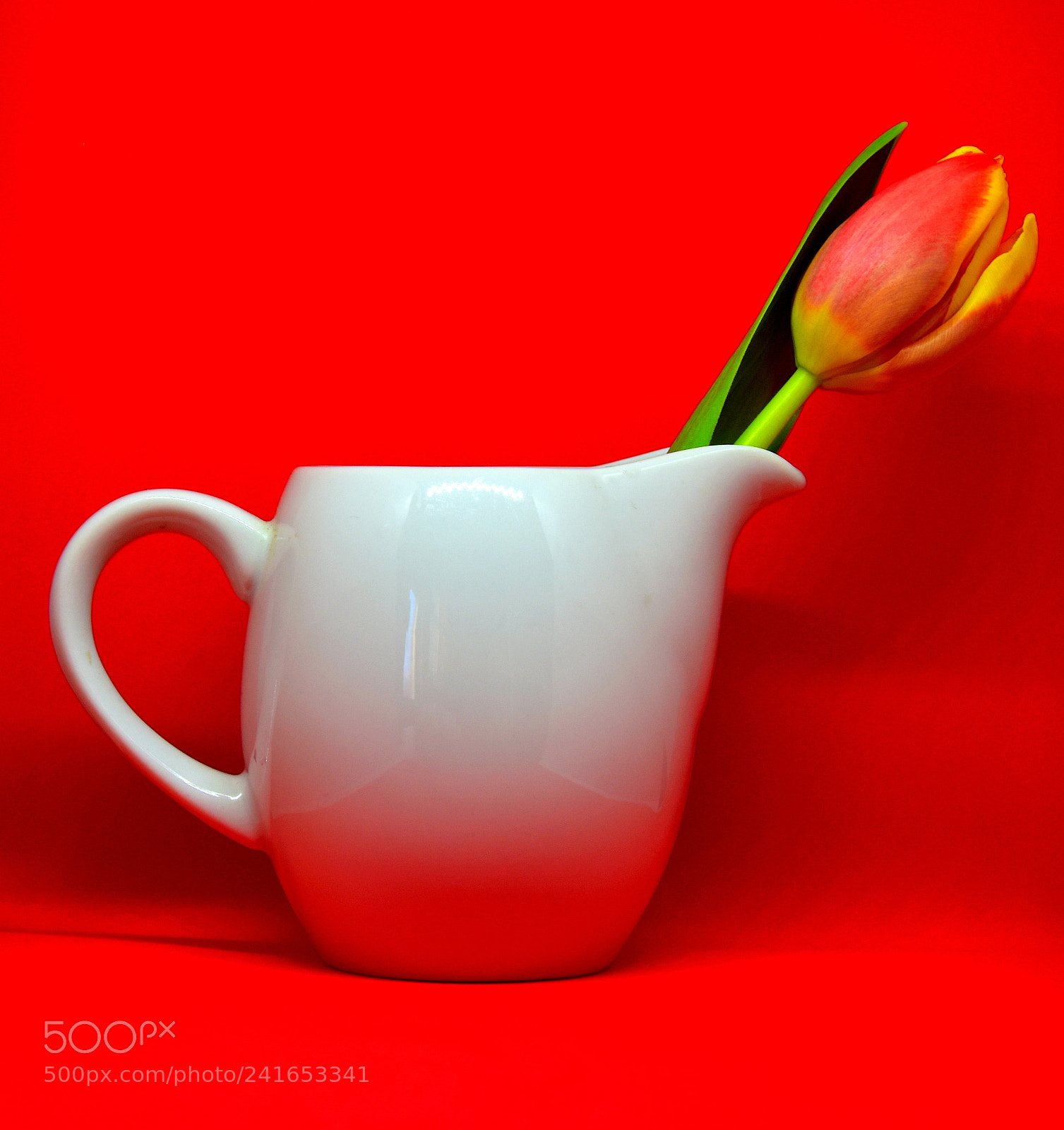 Nikon D5500 sample photo. Red photography