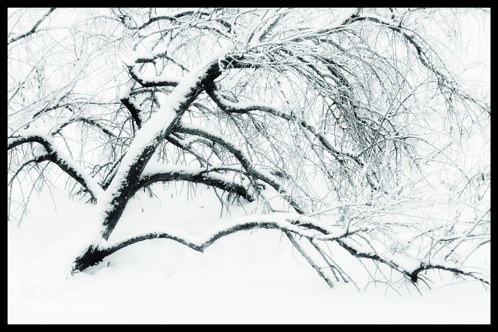 Nikon D800 sample photo. Holding on photography