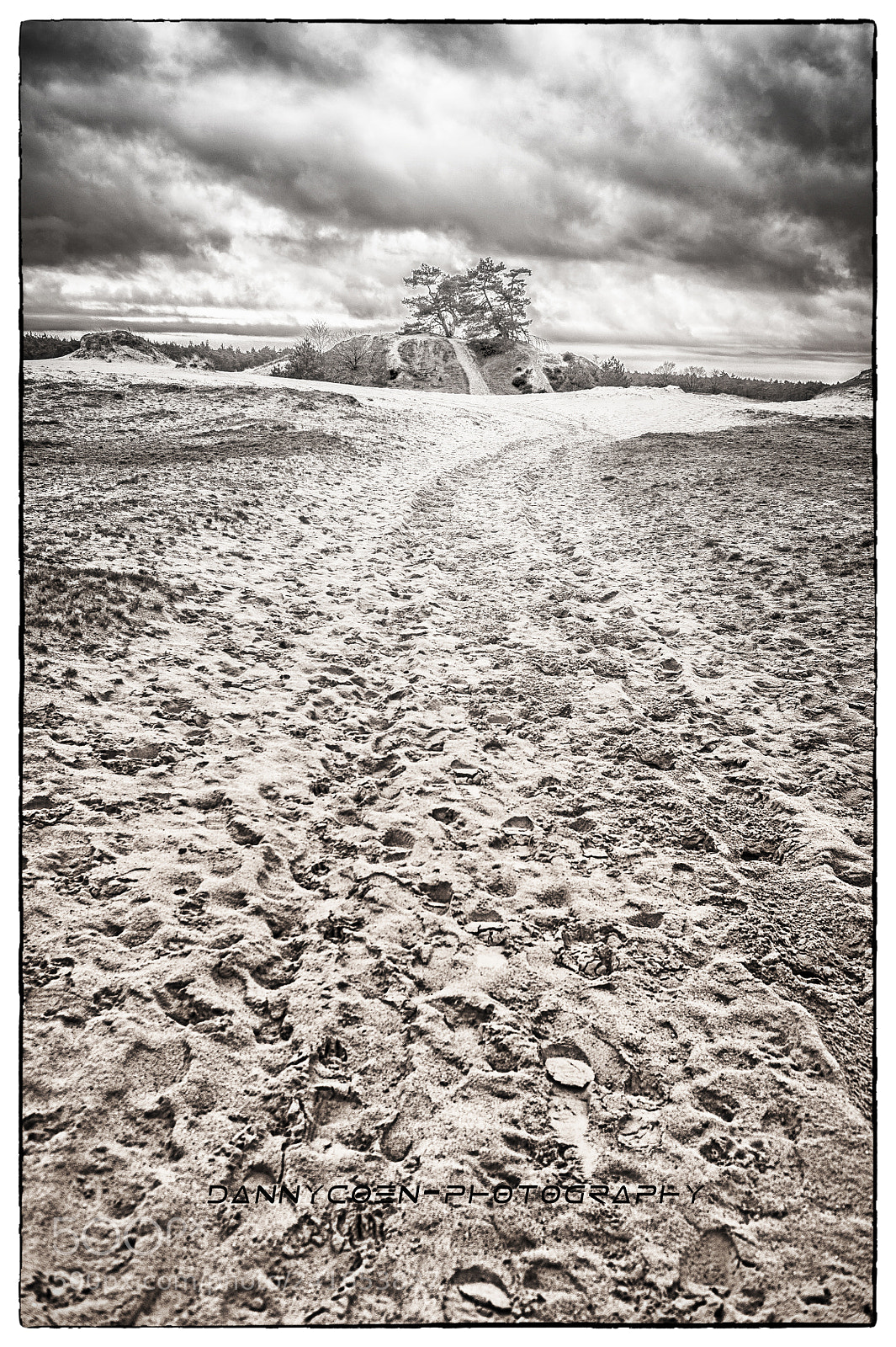 Nikon D3S sample photo. Kootwijkerzand. photography