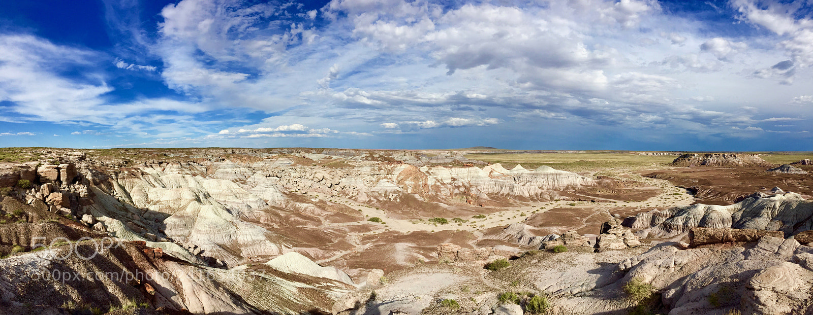 Apple iPhone 6 sample photo. Painted nature photography