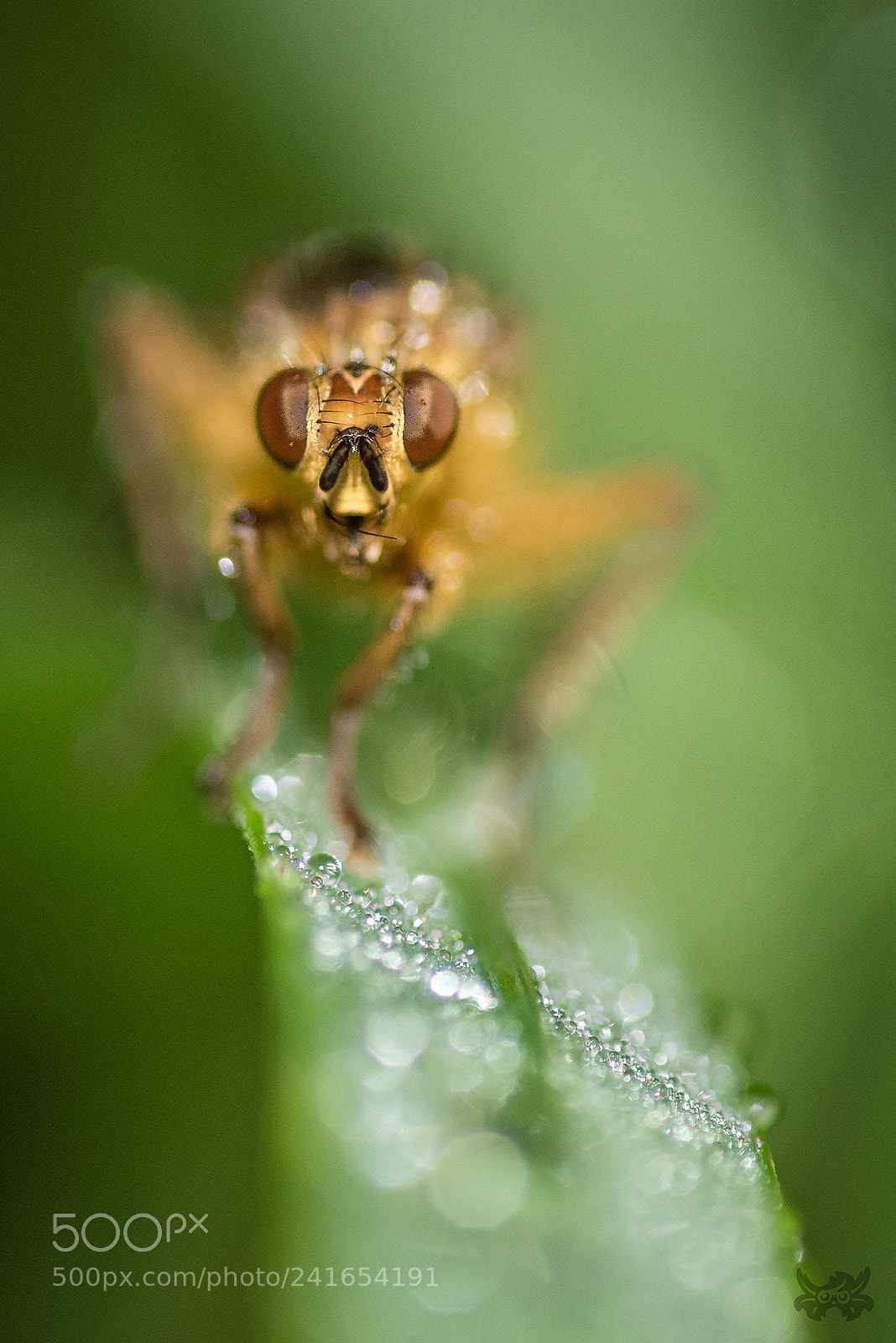 Nikon D810 sample photo. Rest... photography