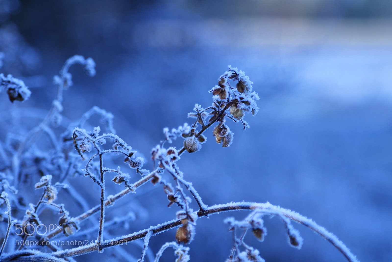 Canon EOS 760D (EOS Rebel T6s / EOS 8000D) sample photo. Eiskalt photography