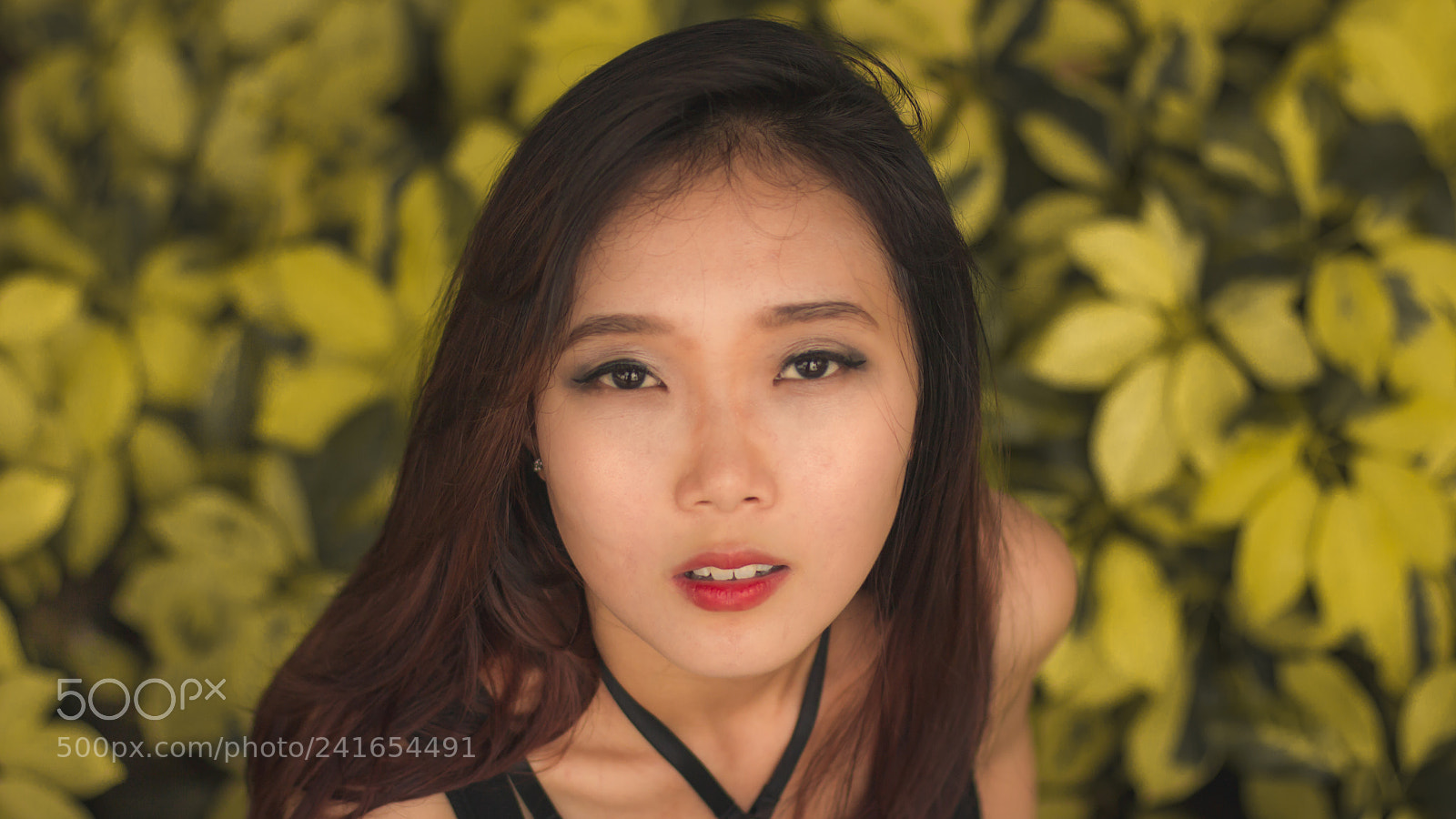 Canon EOS 650D (EOS Rebel T4i / EOS Kiss X6i) sample photo. "take me" photography