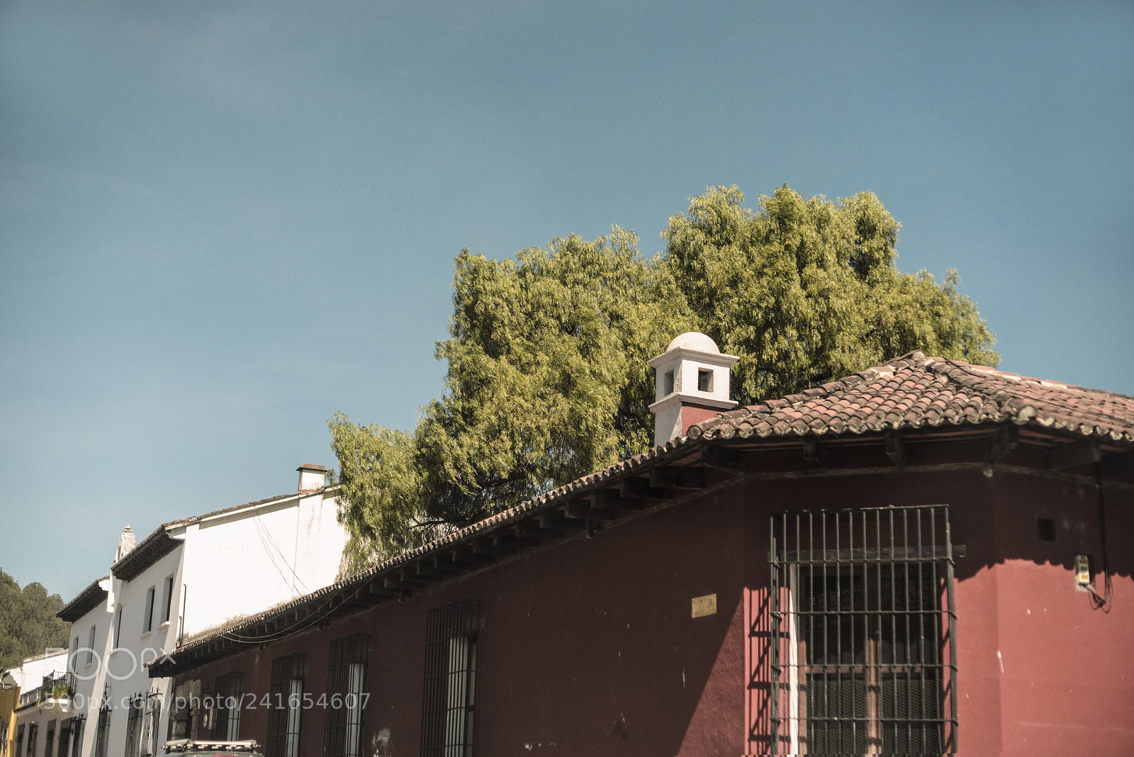 Nikon D800E sample photo. Cúpula photography