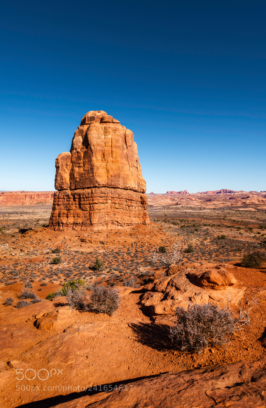 Nikon D850 sample photo. Arches national park photography