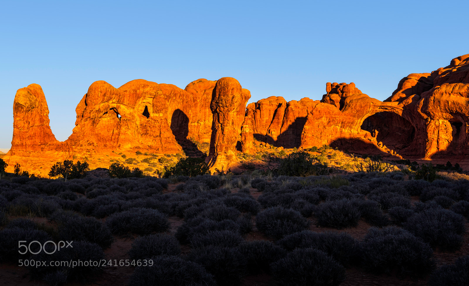 Nikon D850 sample photo. Arches national park photography