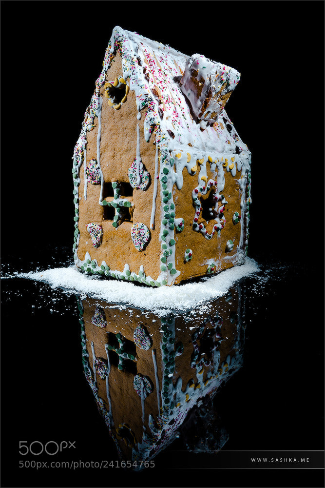 Sony Alpha a99 sample photo. Handmade gingerbread sweet house photography