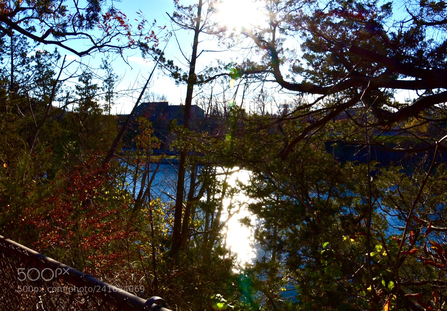 Nikon D7200 sample photo. Untitled photography