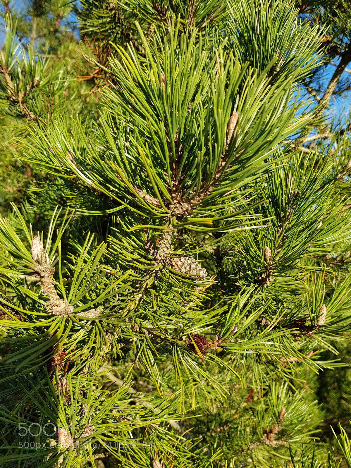 Samsung Galaxy S8 sample photo. Untitled photography