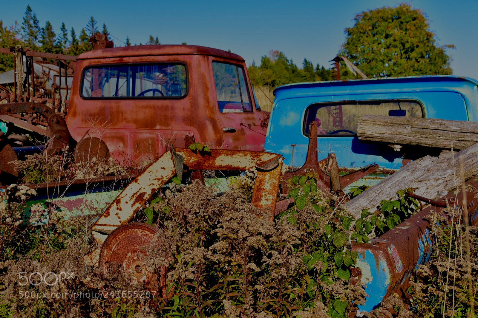 Nikon D7200 sample photo. Untitled photography