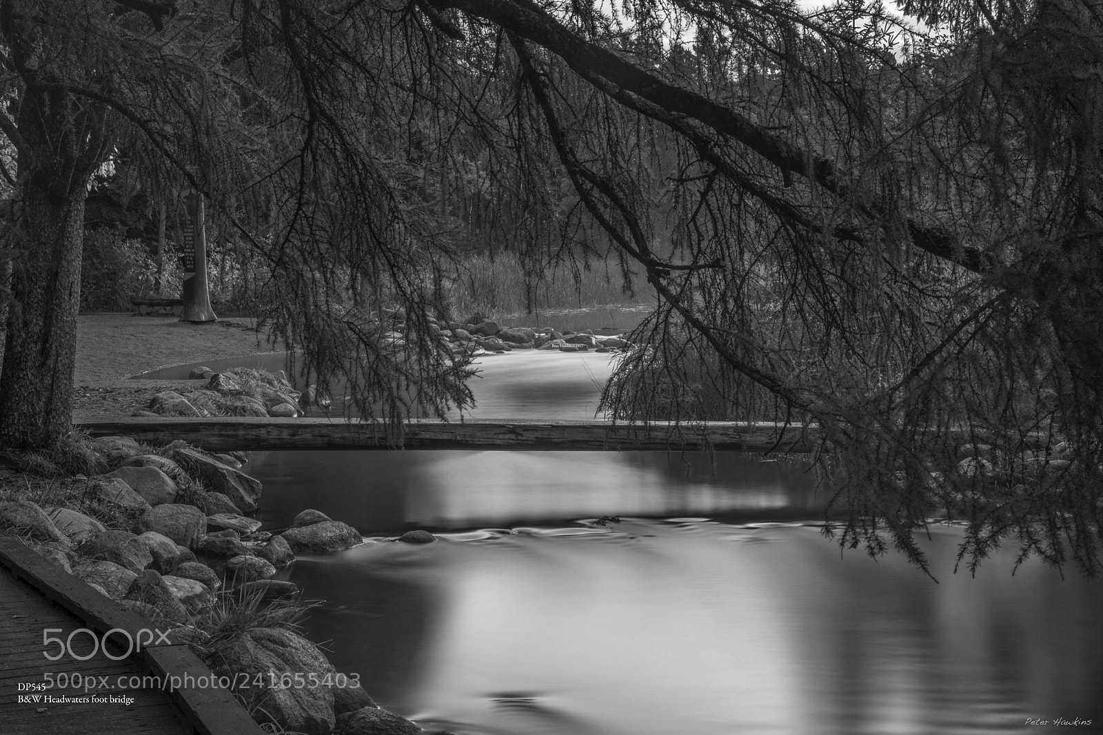 Nikon D810 sample photo. Dp545 b w headwaters photography