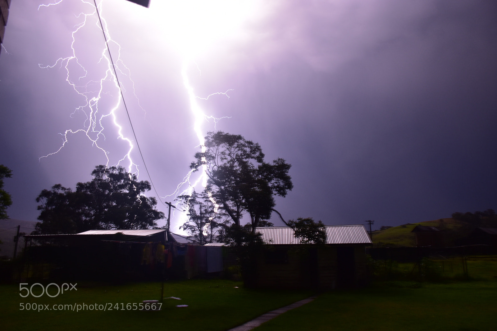 Nikon D5600 sample photo. Backyard lightning photography