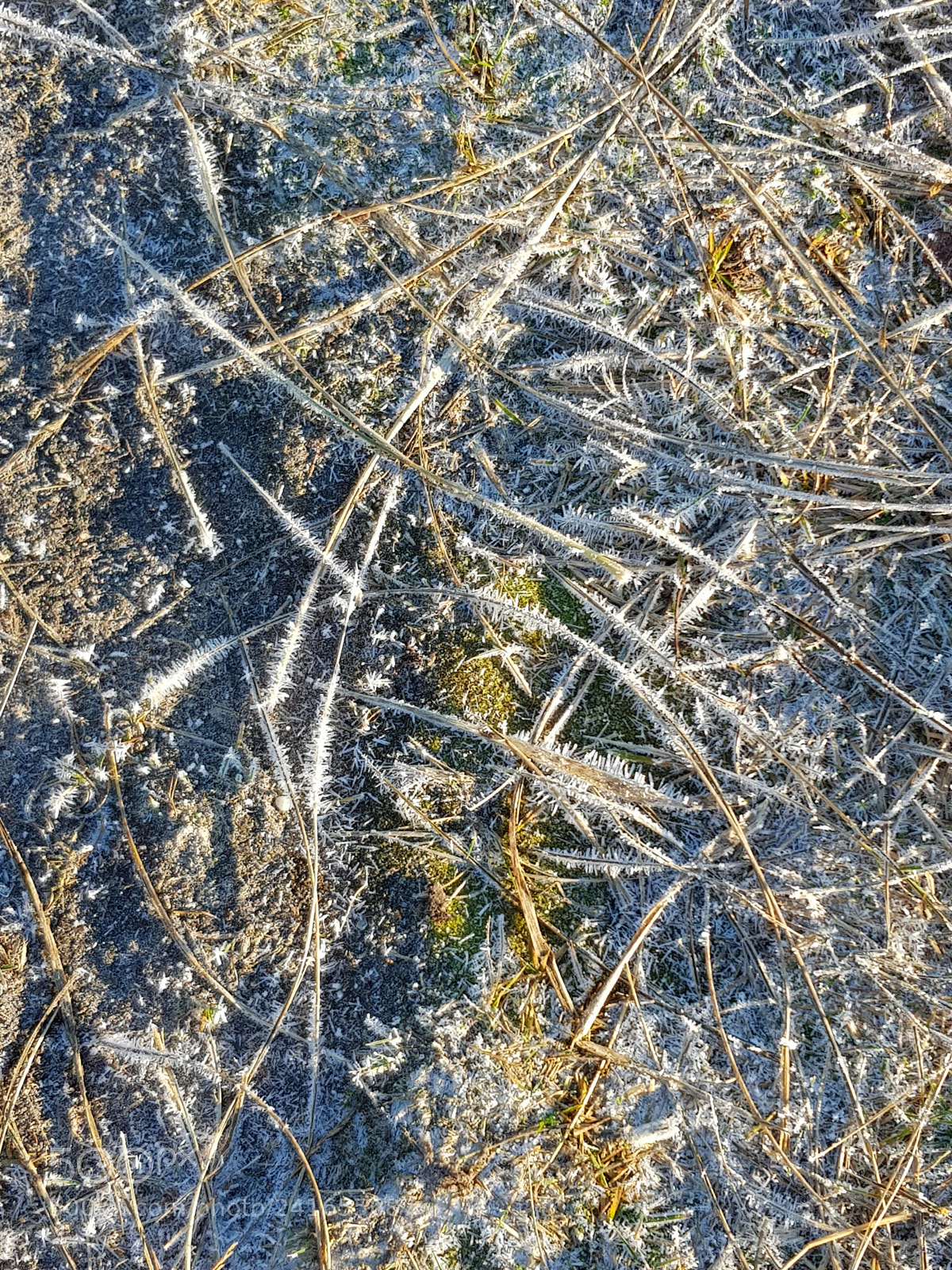 Samsung Galaxy S8 sample photo. Untitled photography