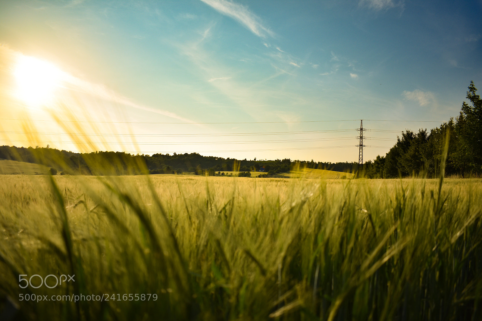 Nikon D3400 sample photo. Sun over the countryside photography