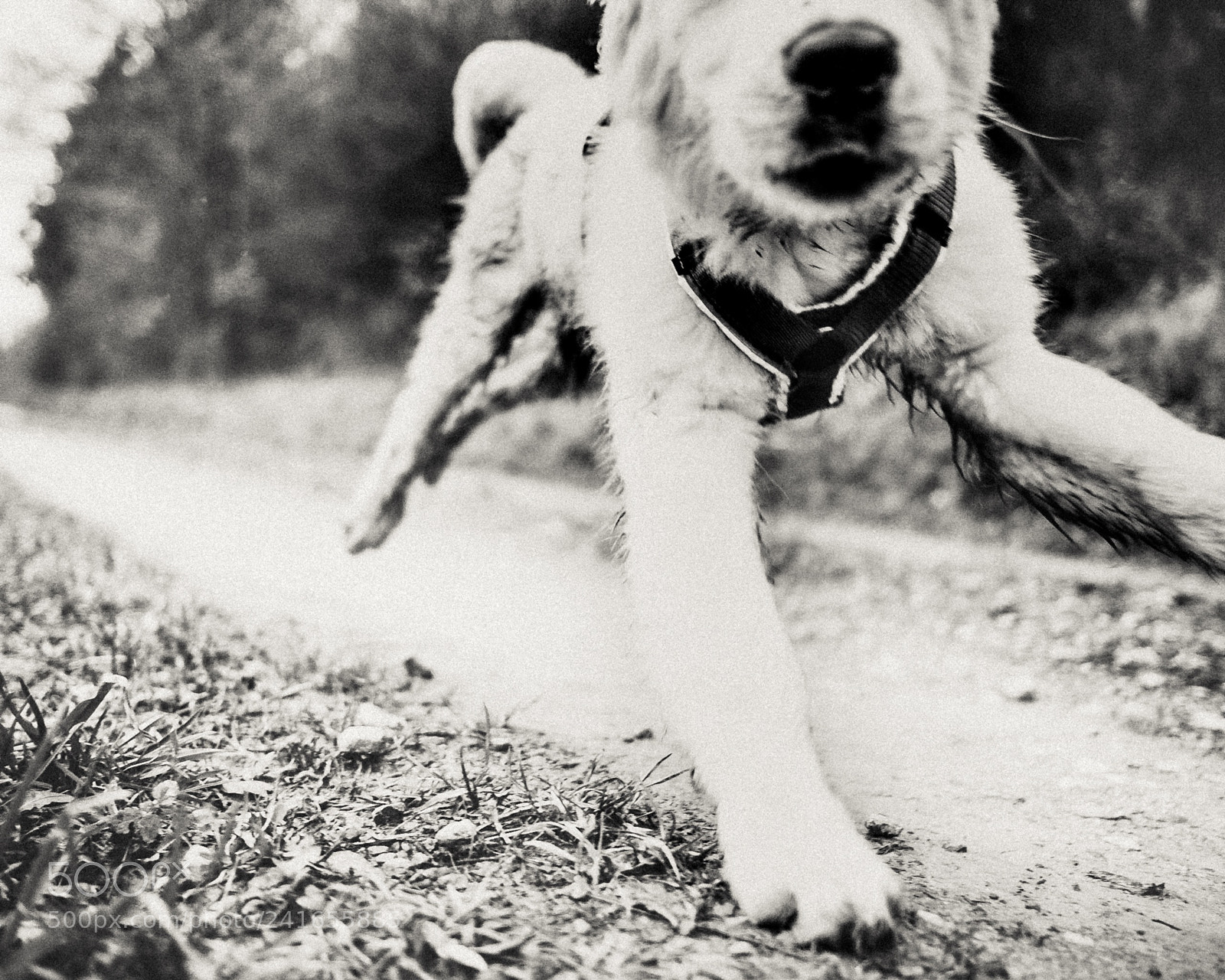 Fujifilm X-T20 sample photo. Jump out photography
