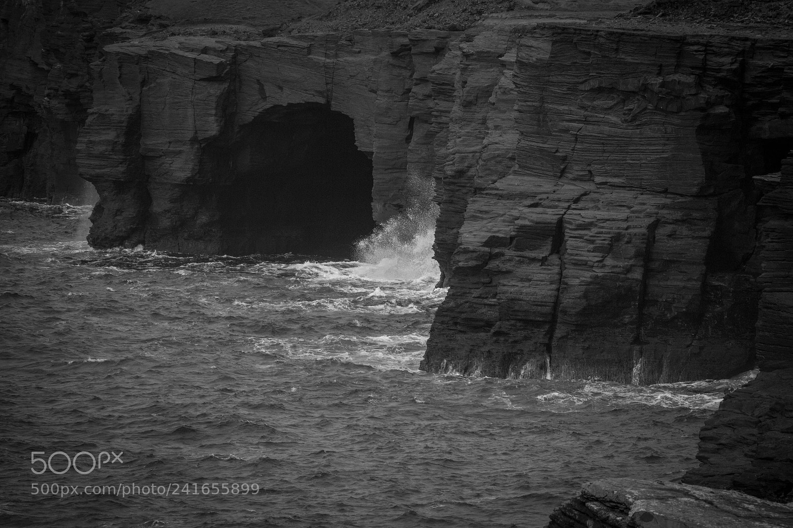 Canon EOS 650D (EOS Rebel T4i / EOS Kiss X6i) sample photo. Moher's struggle photography