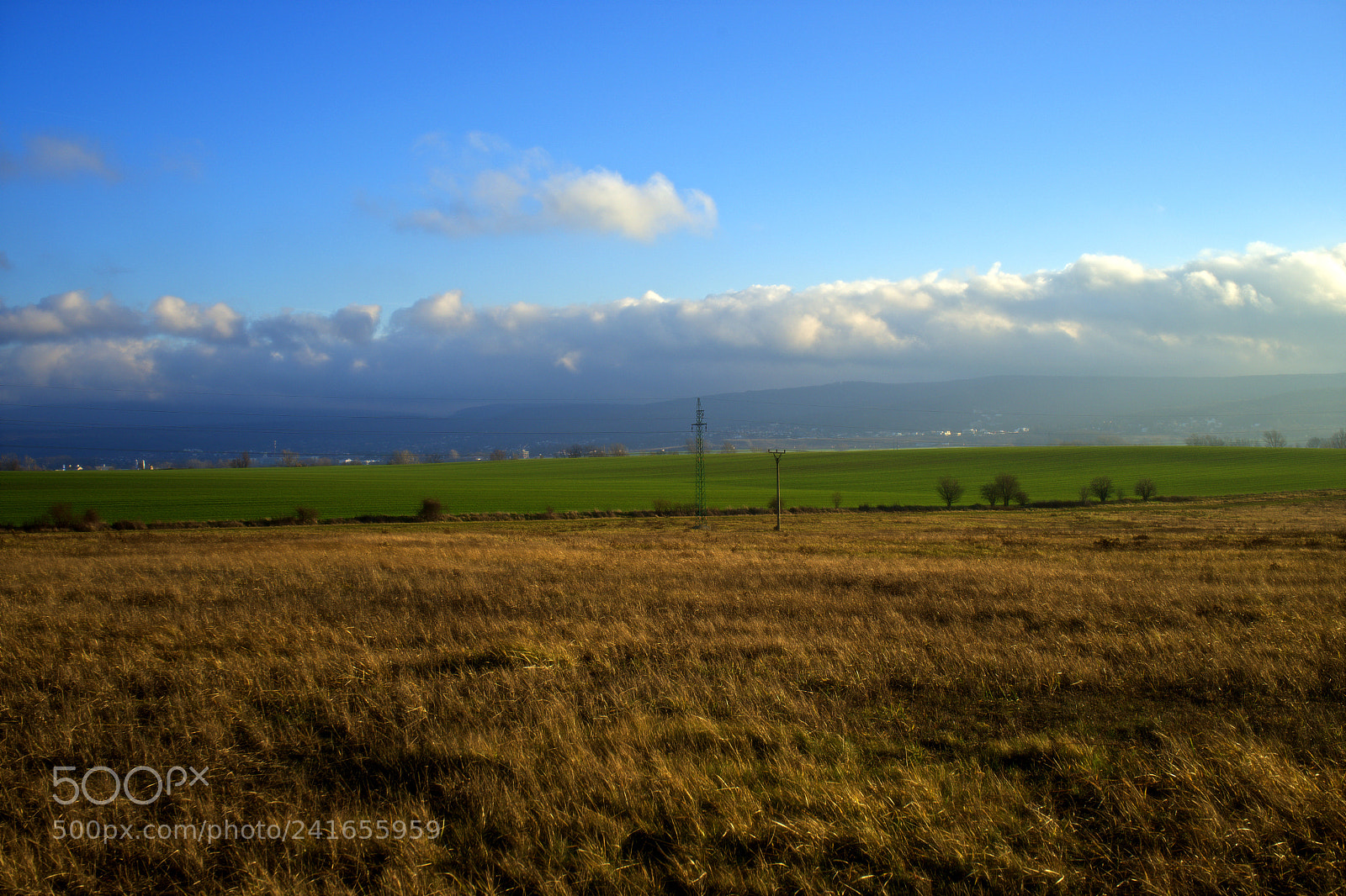 Sony a7 sample photo. Meadow before storm in photography