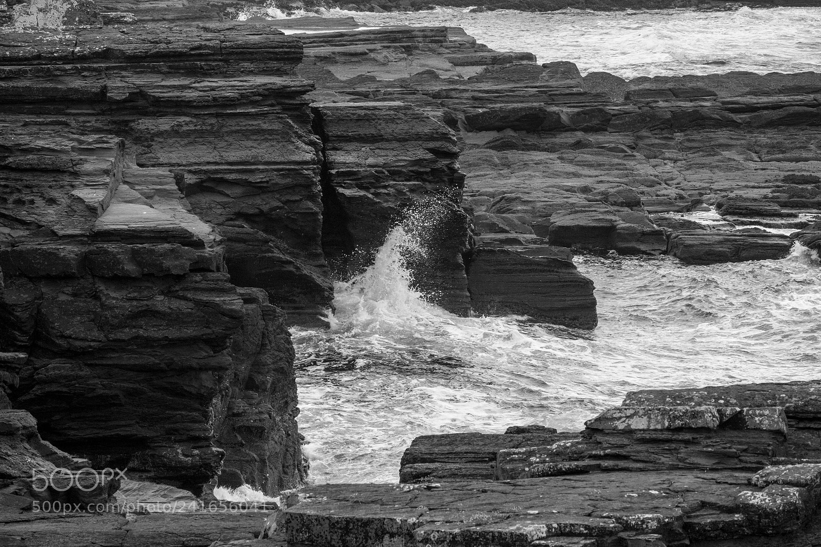 Canon EOS 650D (EOS Rebel T4i / EOS Kiss X6i) sample photo. Moher's struggle photography
