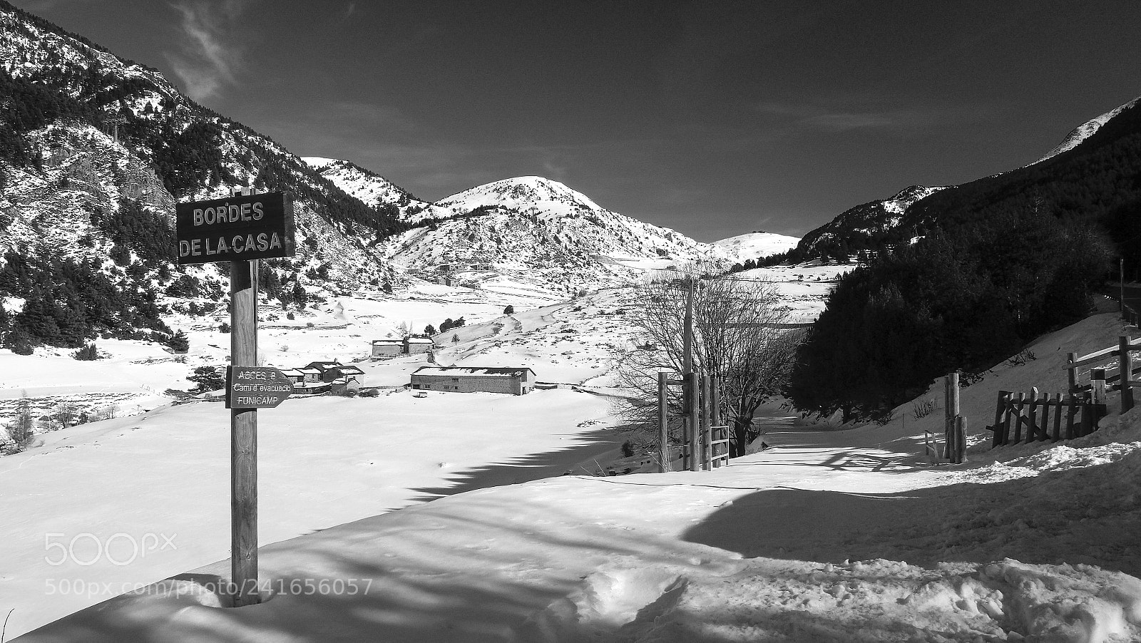 Olympus OM-D E-M1 Mark II sample photo. Olympus digital camera photography