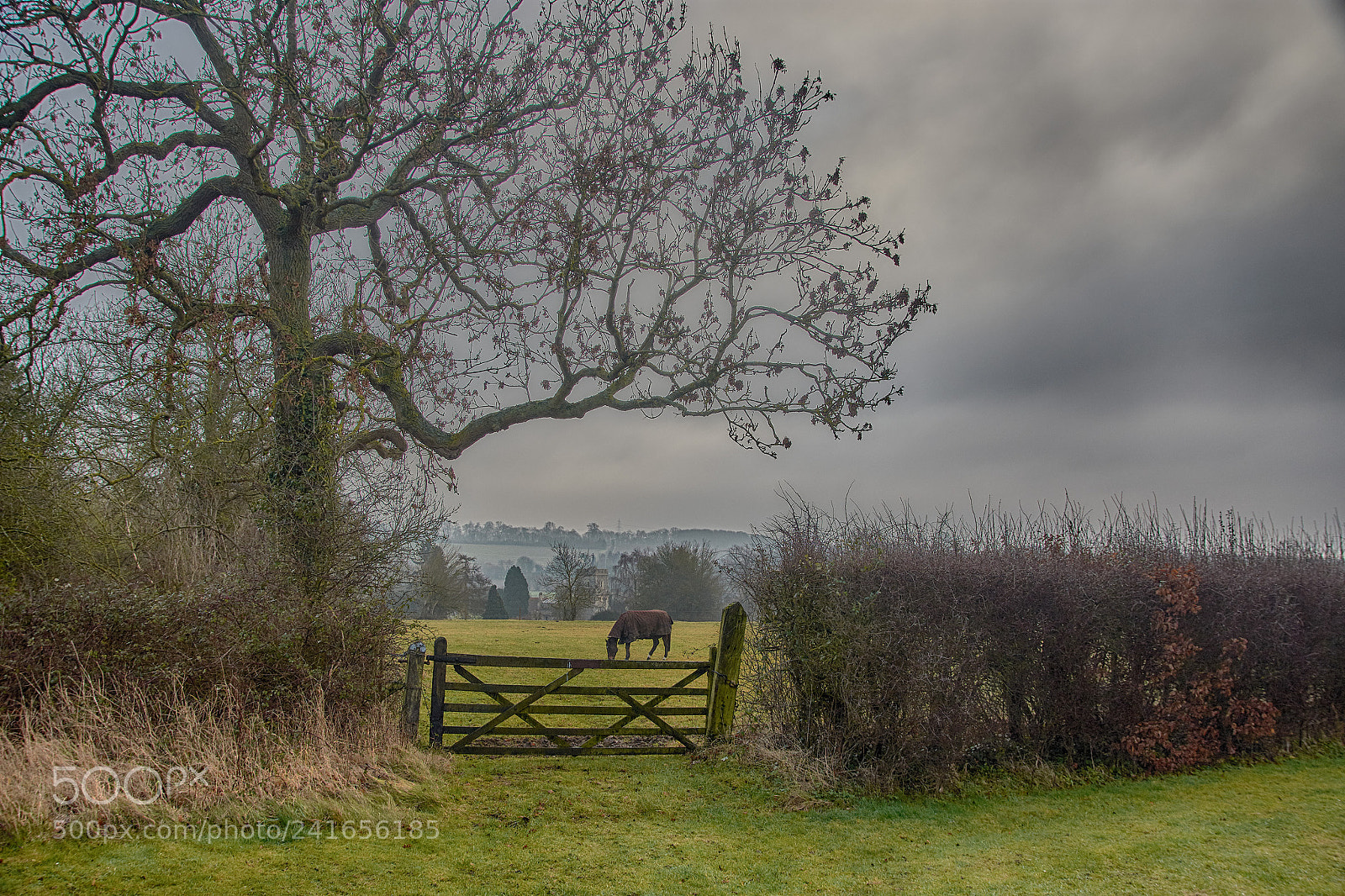 Nikon D7200 sample photo. Winter morning photography
