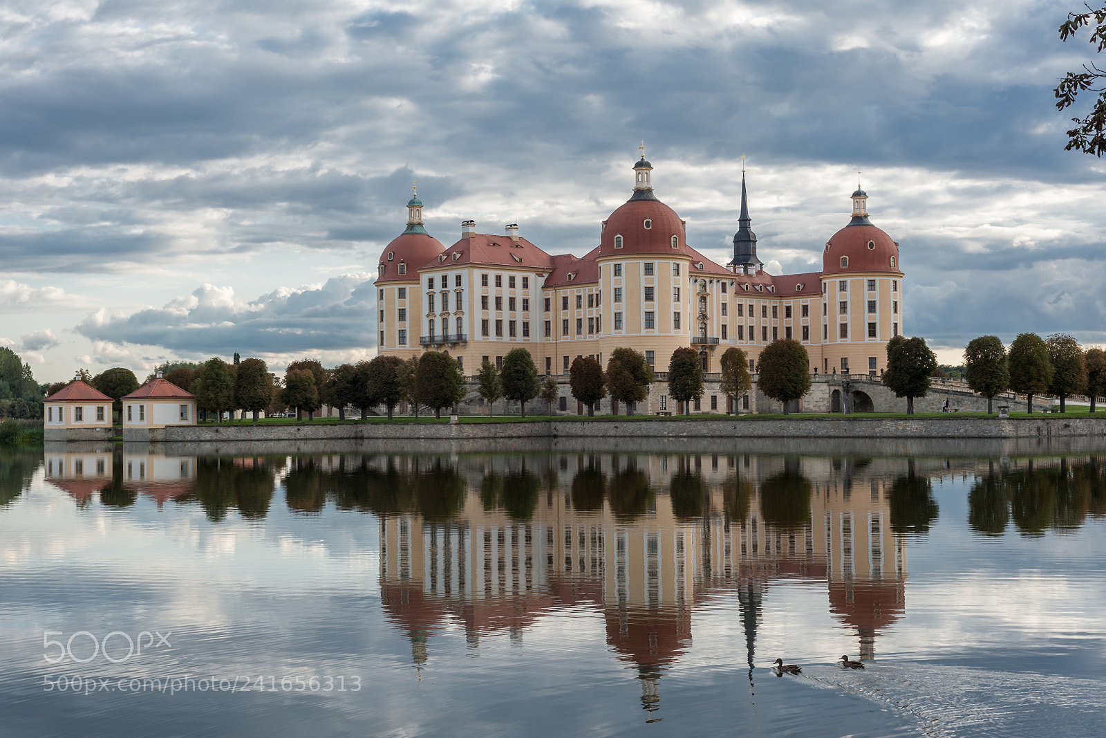 Nikon D700 sample photo. Moritzburg #4 photography
