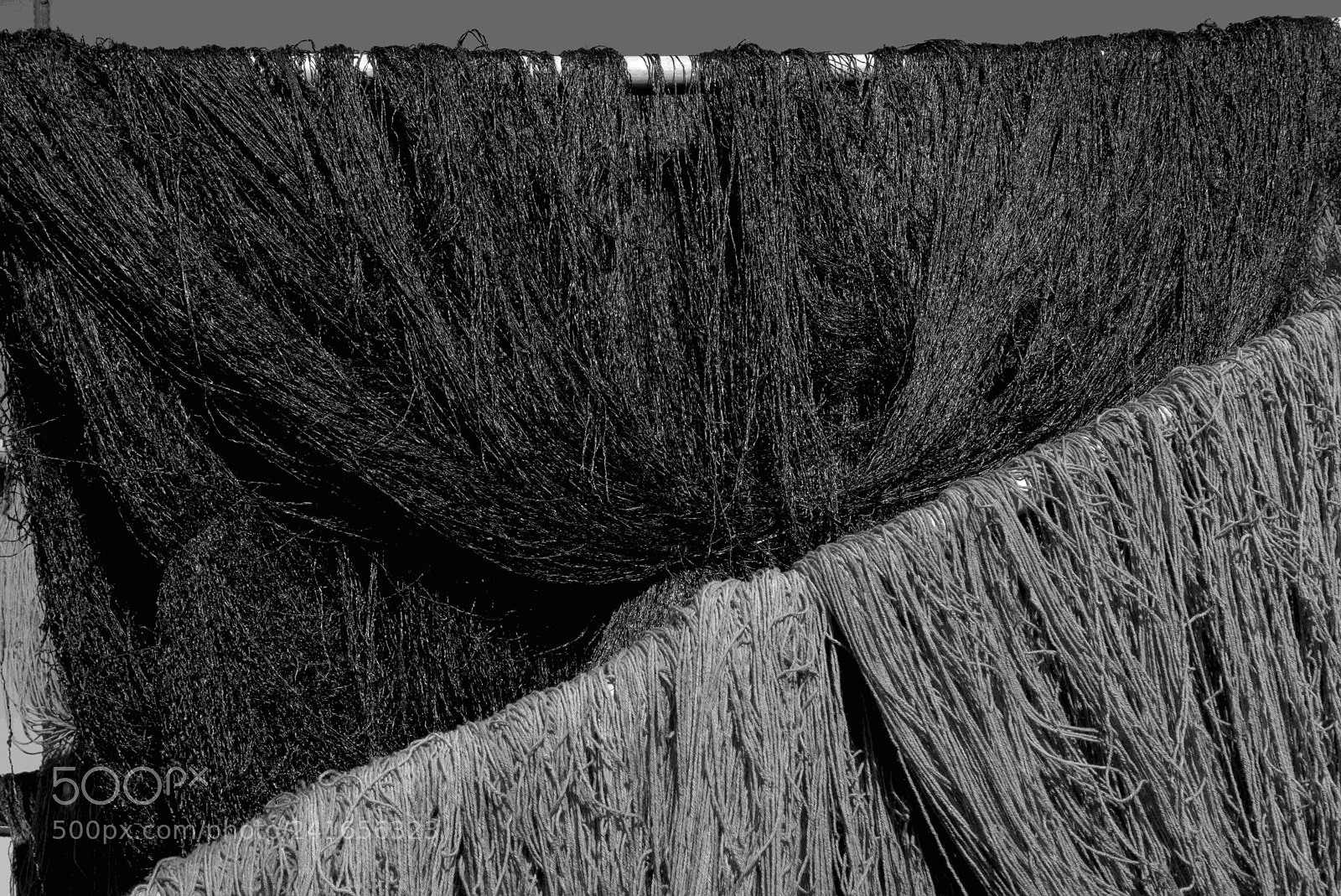 Nikon D800 sample photo. Silk and wool photography