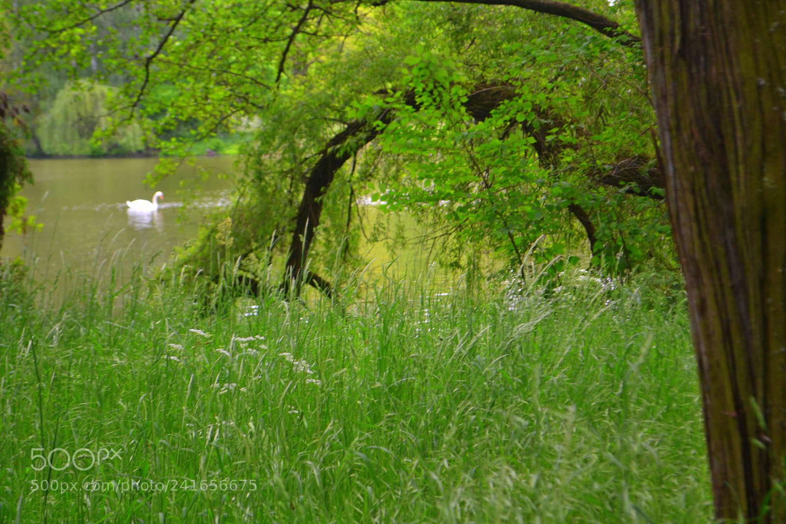 Nikon D3100 sample photo. Time is too slow photography