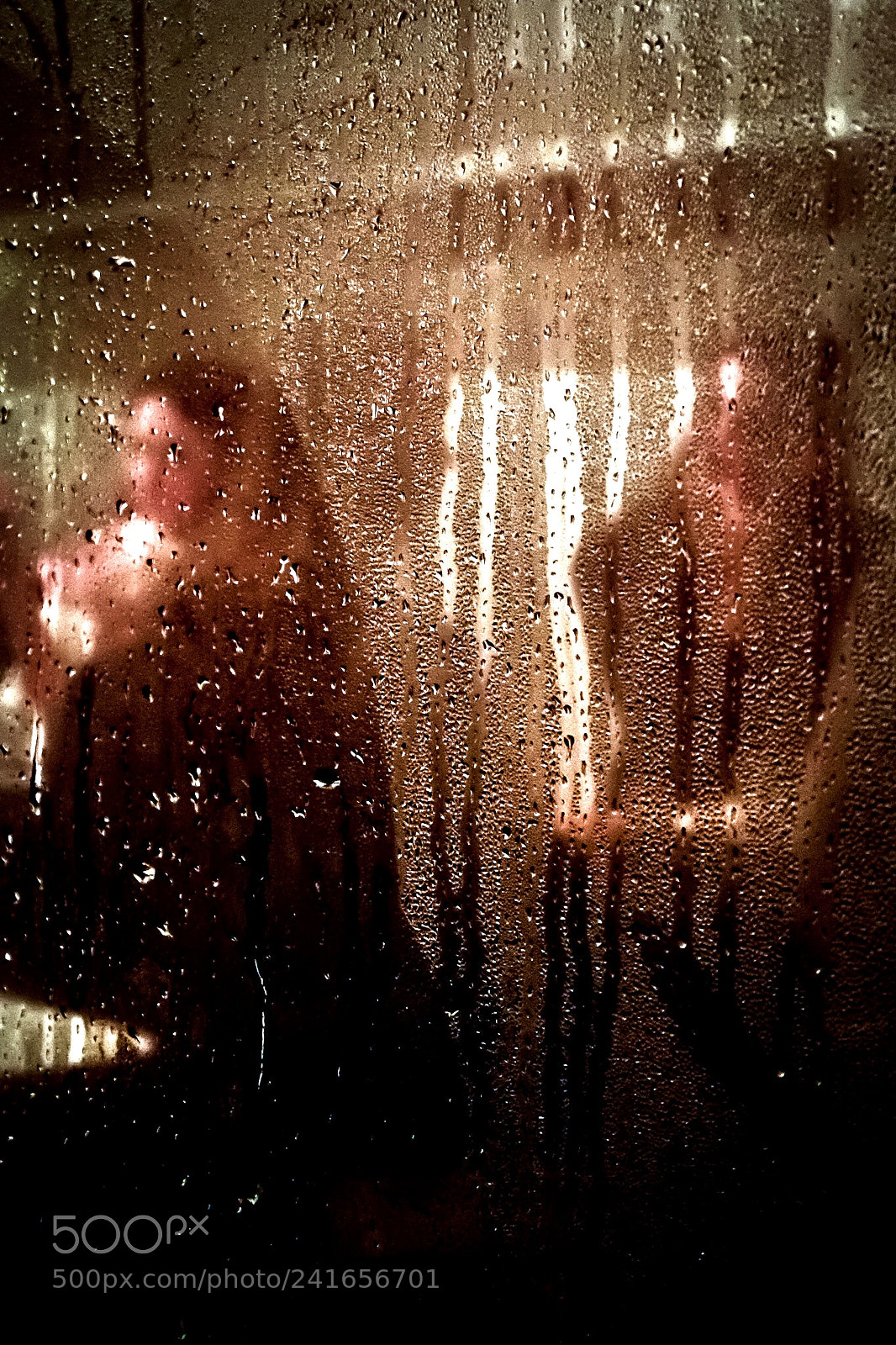Fujifilm X-Pro1 sample photo. Condense  photography