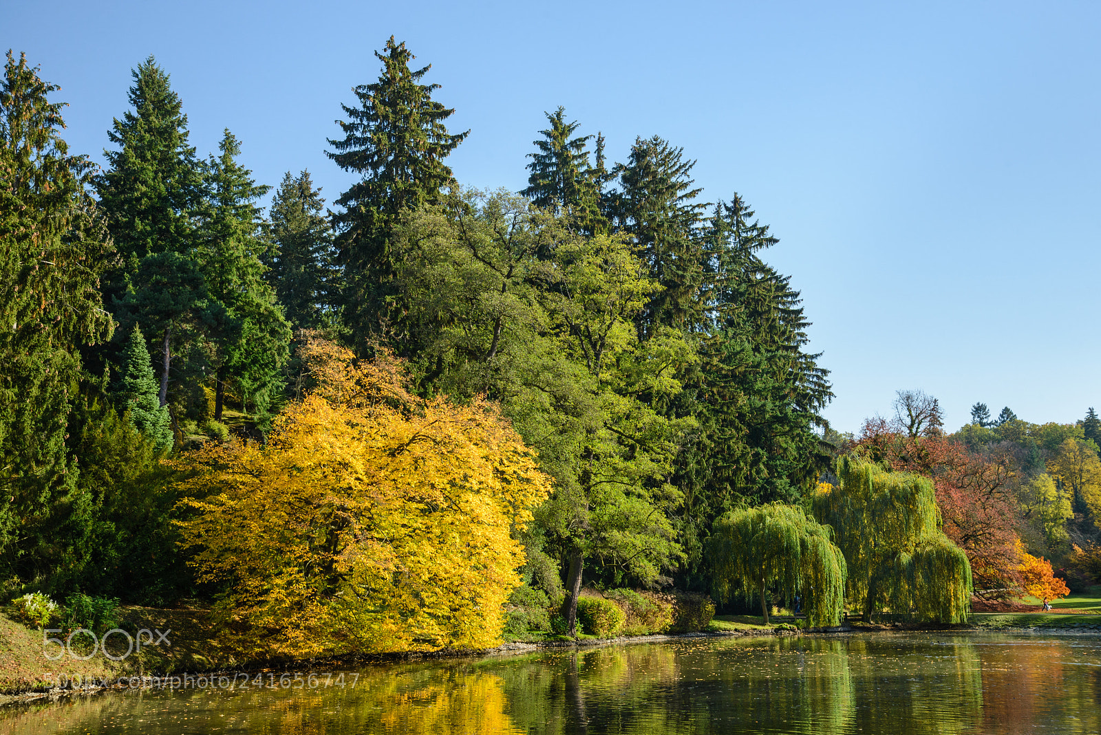Nikon D600 sample photo. Colorful autumn photography