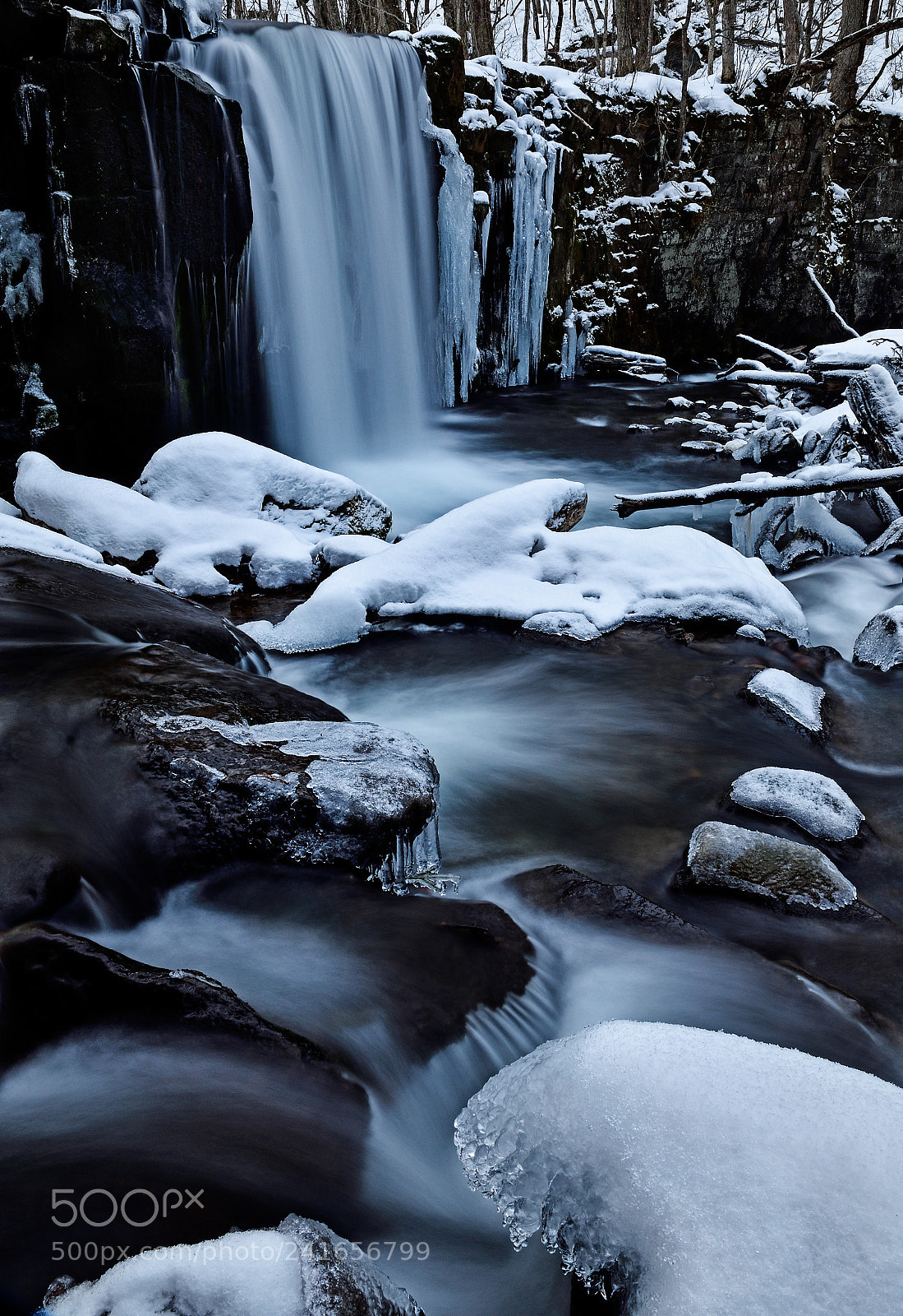 Nikon D500 sample photo. Snow fantasy photography