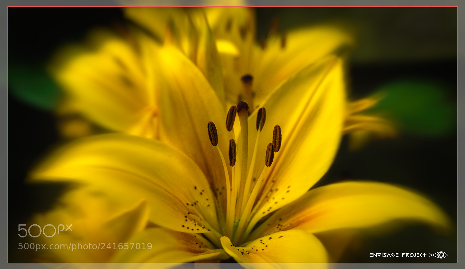Sony a7R sample photo. Yellow lv photography