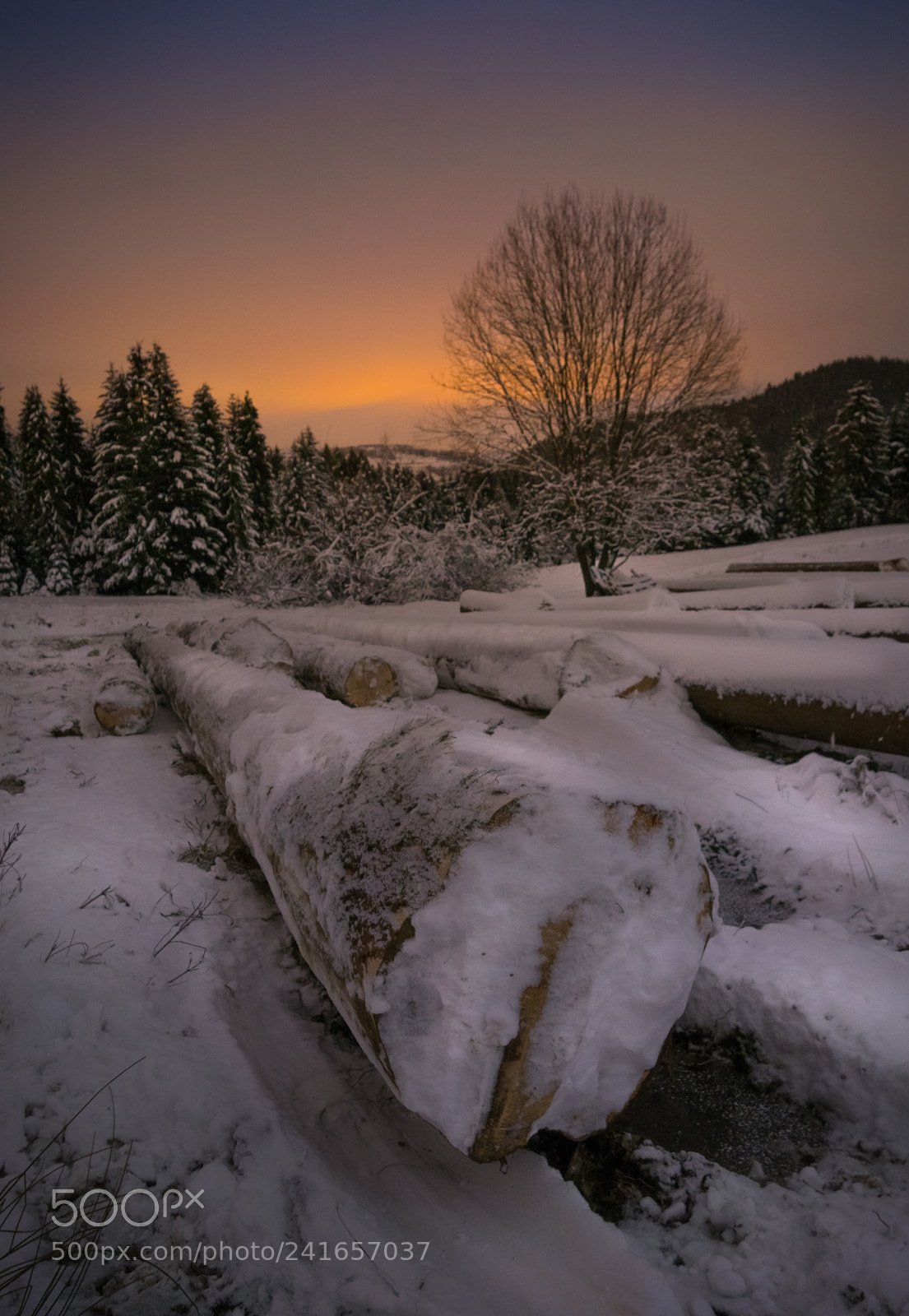Olympus PEN E-PL6 sample photo. Winter night photography