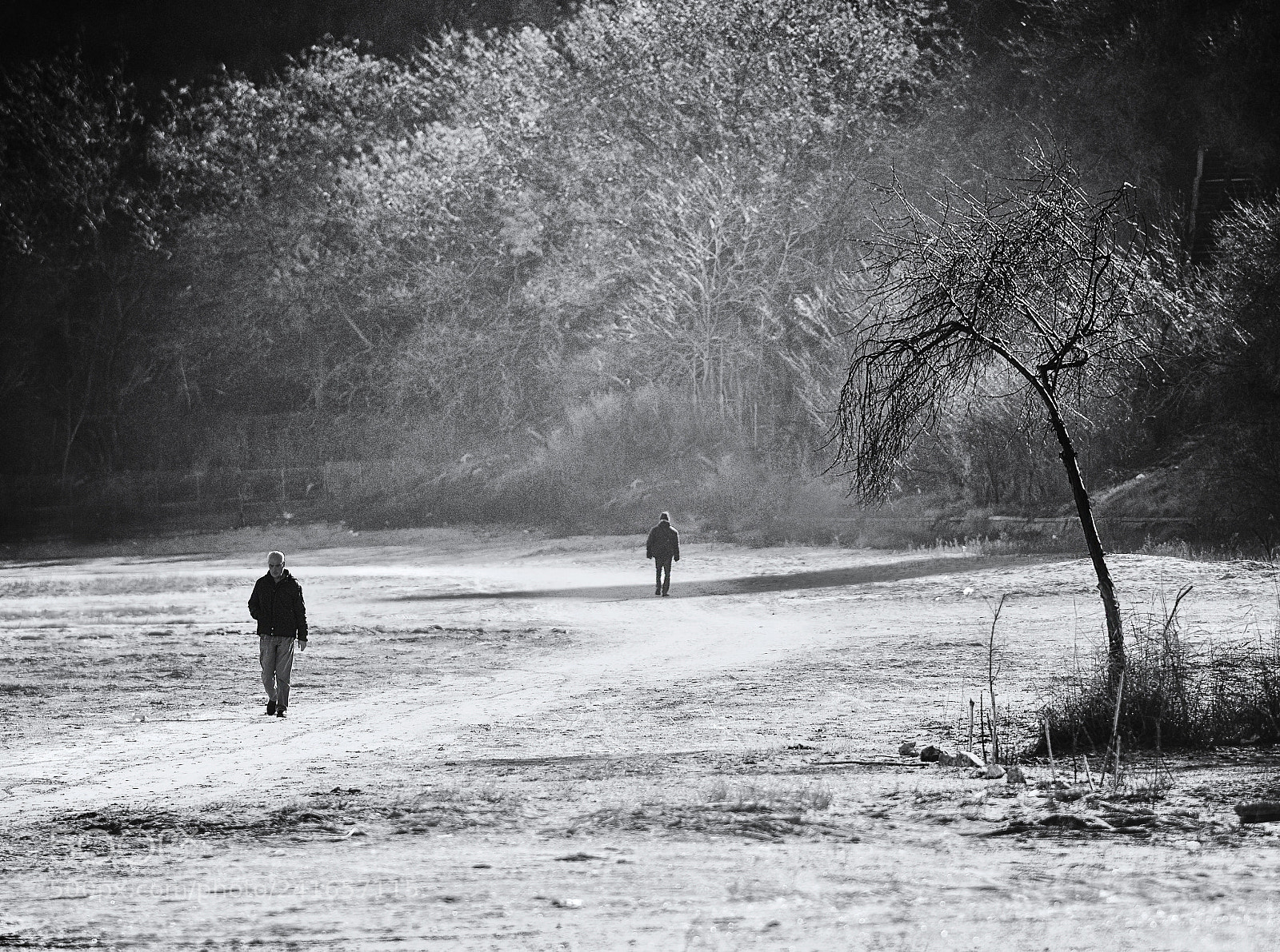 Nikon D7100 sample photo. Morning photography
